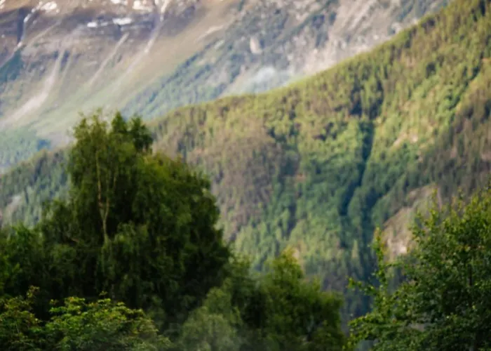 Vivea Im Oetztal Otel *